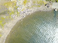 ニセコ神仙沼湿地 (9)  0.9.142 : N